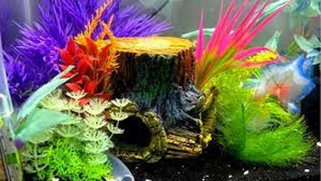 Aquarium Plastic Plants